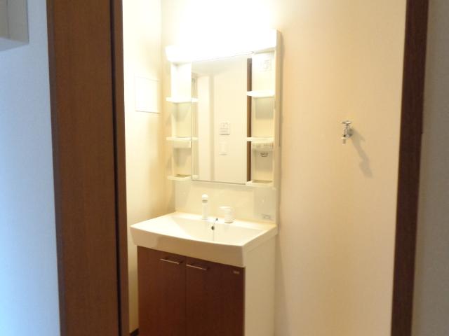 グリューネ　ハウス203号室 洗髪洗面化粧台