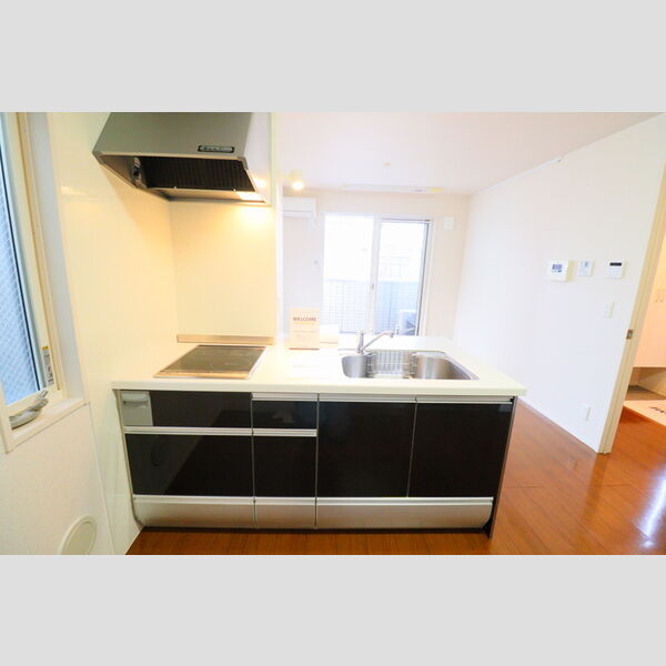 Muse　Fort302号室 システムキッチン