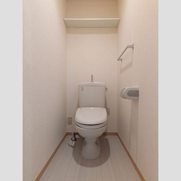 ルインズ・イン・マルヤマ　ABCDEFA103号室 トイレ