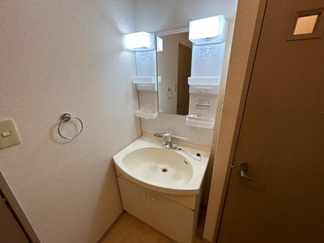 パレスサントピアⅠ00101号室 洗髪洗面化粧台