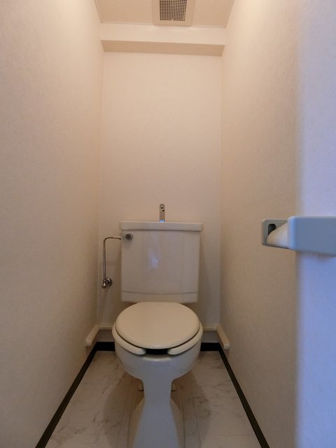 白樺0206号室 トイレ