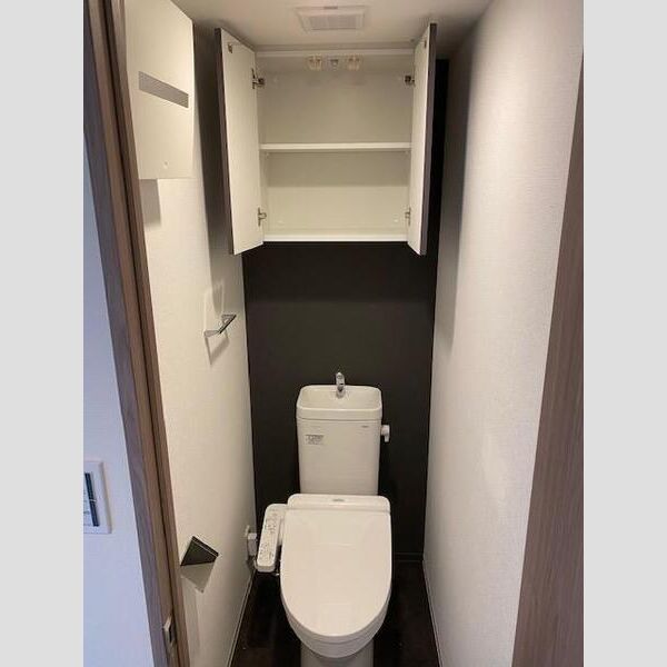 S-RESIDENCE両国avenue401号室 トイレ