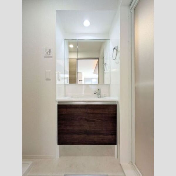 セレスティア新堀203号室 洗髪洗面化粧台