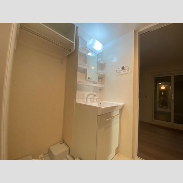 アムール東向島302号室 洗髪洗面化粧台