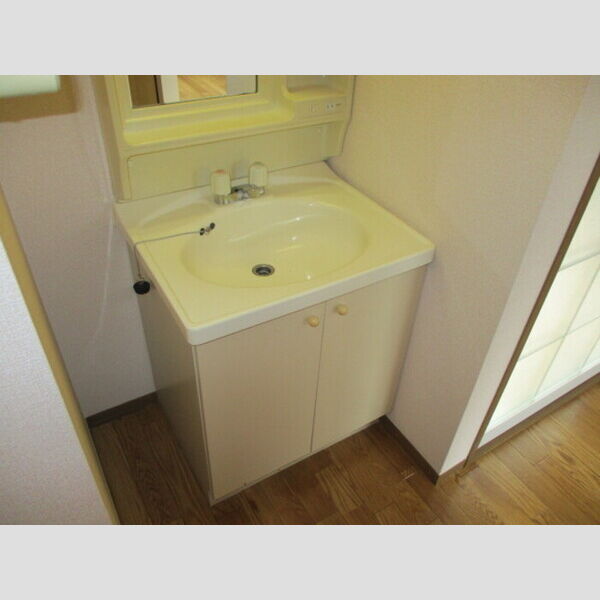 ヴィラフォーレ　A102号室 A102(洗面台)