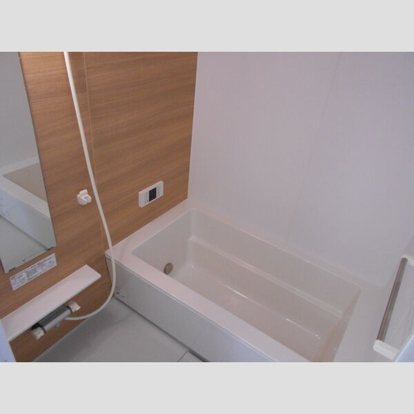 アンリシール・レイク203号室 浴室