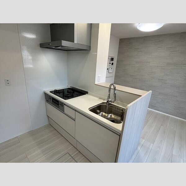 D Paina Hino システムキッチン