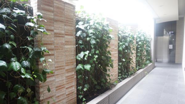 ＢＥＬＩＳＴＡ常盤台608号室 エントランス