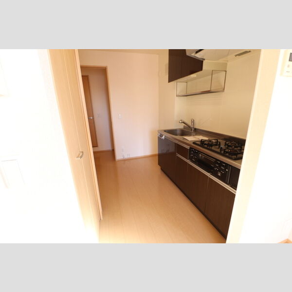 カーサリリオ201号室 システムキッチン