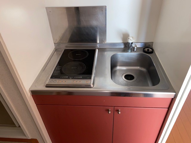 レオネクストカーサジーナ 外観