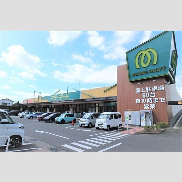 リバービレッジ302号室 マミーマート柏若葉町店　256m