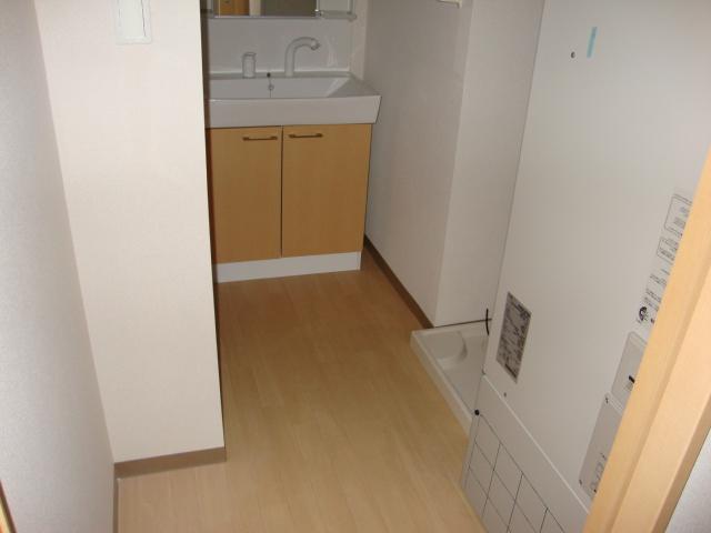 シィーエム・クイーン303号室 脱衣所