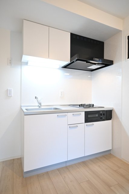 フェリデンシア御嶽山2階 システムキッチン（2口ガスコンロ・グリル付）