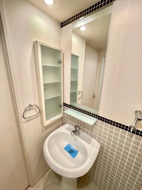 レジディア九段下3階 洗面