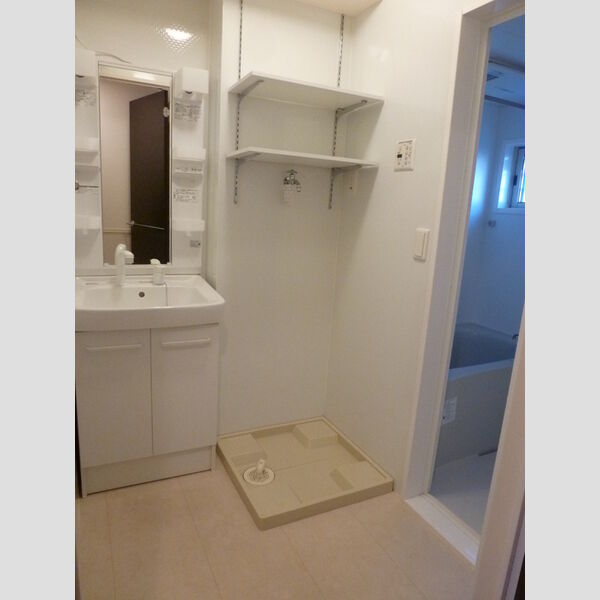 グリーンコーポ網代橋103号室 洗髪洗面化粧台・洗濯機置場