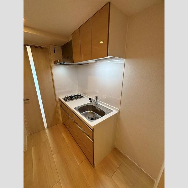 MAXIV蓮根103号室 キッチン