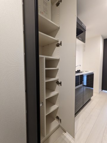 ケーディーエックスレジデンス豊洲814号室 収納