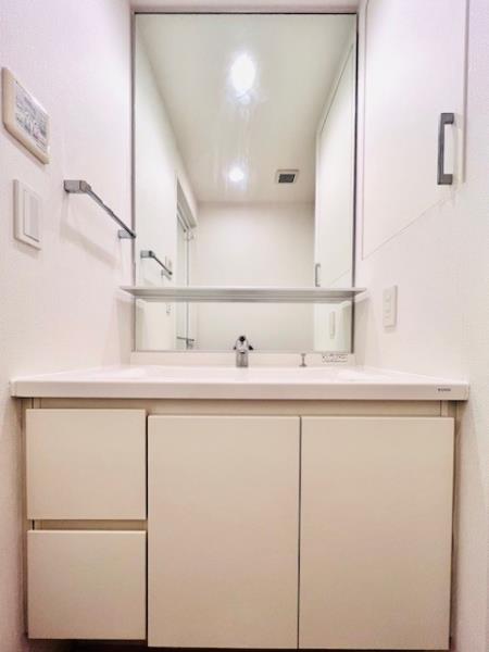 Ｂｒｉｌｌｉａ　ｉｓｔ　東雲キャナルコート12階 洗面