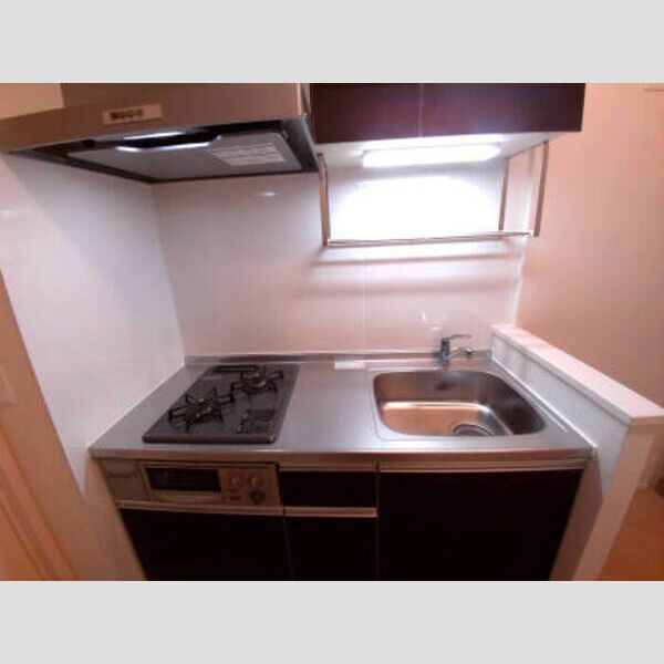 セピア コート103号室 都市ガス　システムキッチン2口コンロ魚焼き
