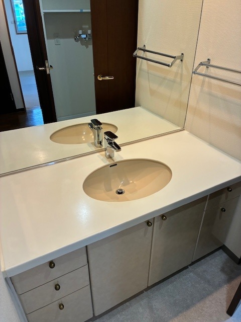 B'sタワー橋本 洗面