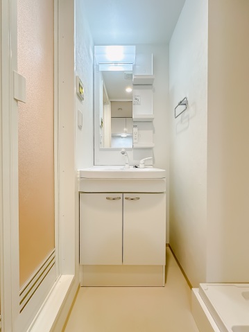 スカイコートリュクス品川大崎101号室 洗面