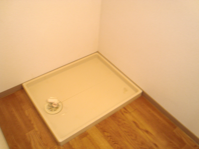 プラシード203号室 洗濯機置場