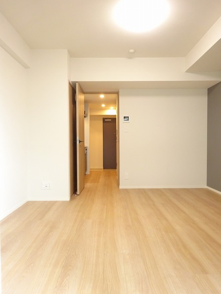 アイルイムーブル亀戸202号室 リビング