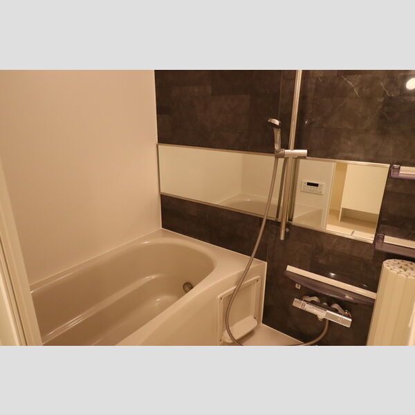 メゾン真砂201号室 追い焚き給湯機能付き浴室