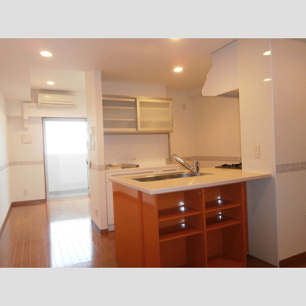 ロイヤルパークス西新井1123号室 キッチン