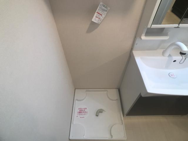 ヴェルジュ201号室 洗濯機置場