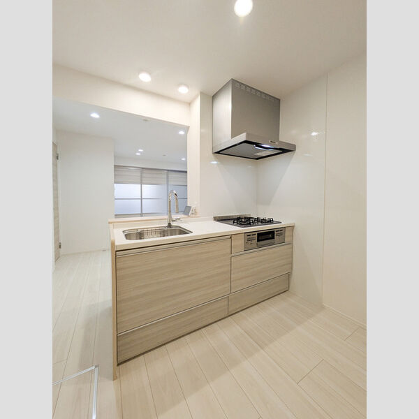 D Paina 上平間Ⅱ キッチン