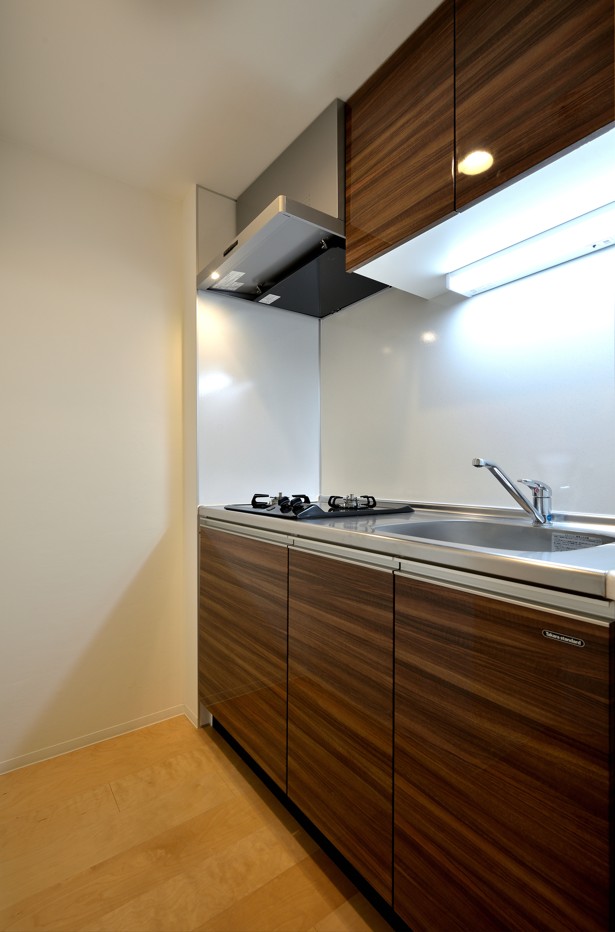 SYNEX NISHI-OI403号室 キッチン