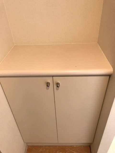 ＫＥＮＺＯ　ＨＡＵＳ　ＥＫＯＤＡ0801号室 収納