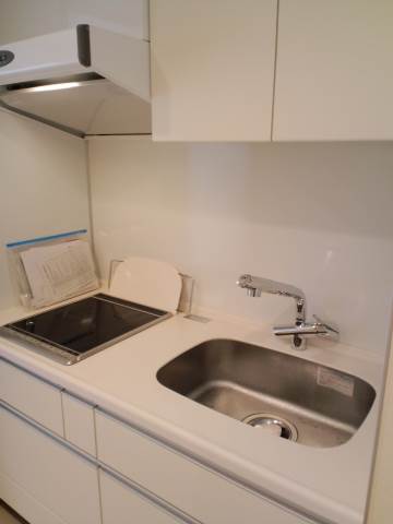 日神デュオステージ三ツ沢公園 参考画像（反転）