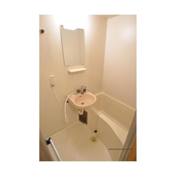 エステートピア野川103号室 洗面