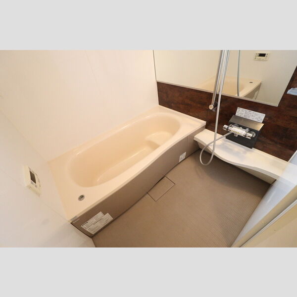 ルミナス203号室 浴室