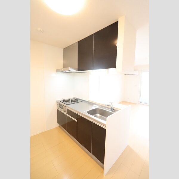 スピカ203号室 対面システムキッチン