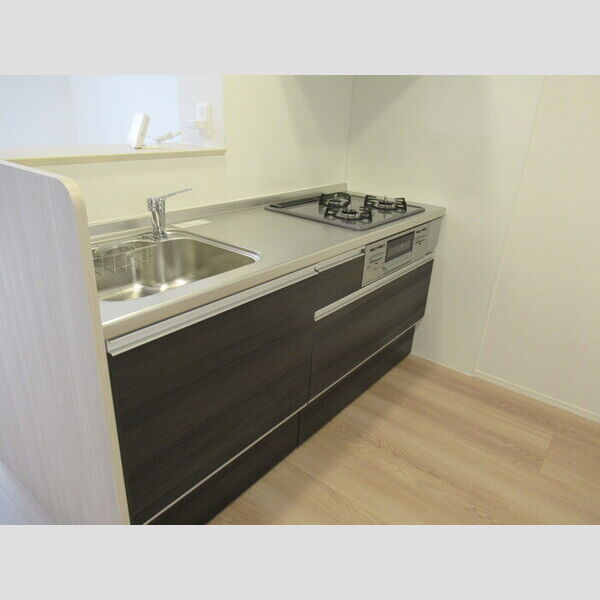 N・D-ROOM IIDACHOU　A棟203号室 システムキッチン