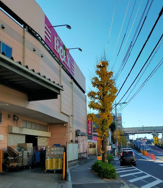 シャンブル綾瀬Ｇ ベルクス足立綾瀬店