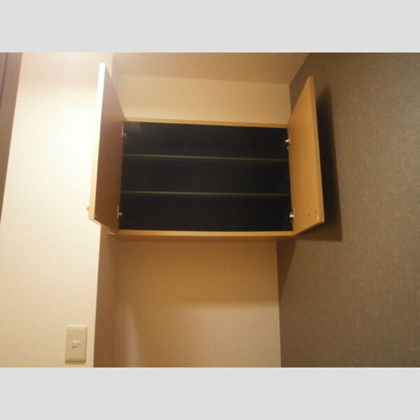 ソレアード103号室 シューズボックス上段