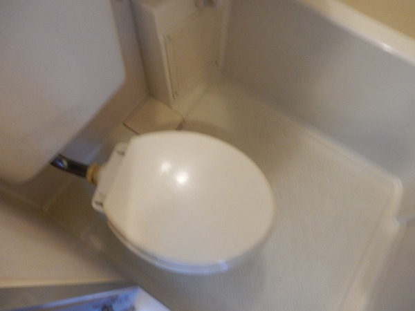 第三八弘ビル302号室 トイレ