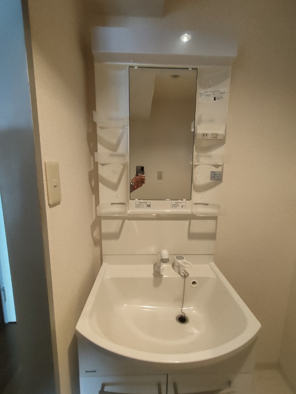 エマーレ新小岩11階 洗面