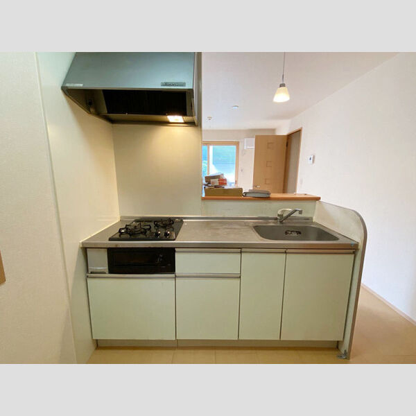 グリーンフラッツ 101号室システムキッチン