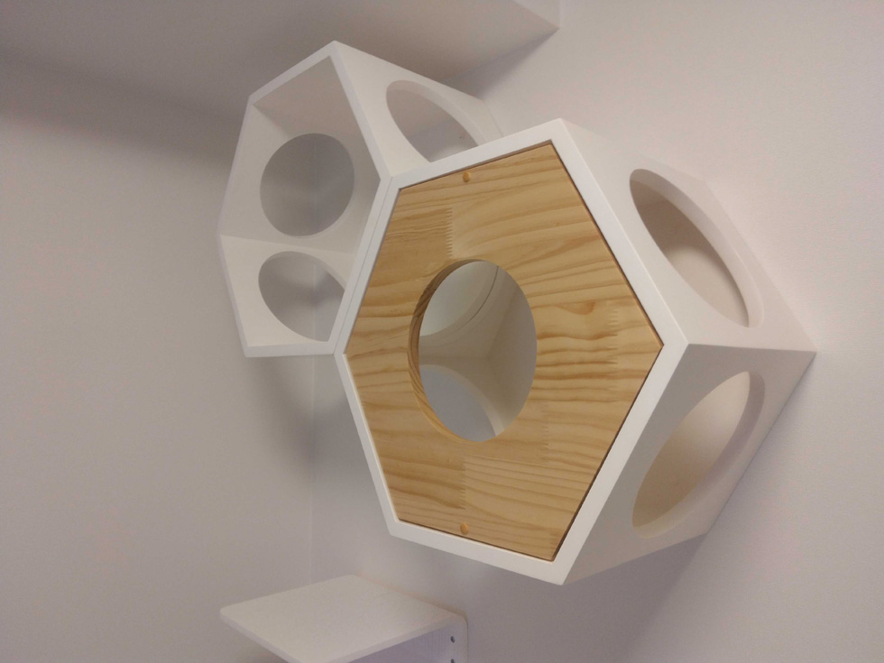 ラフィスタ墨田5丁目Ⅱ1階 内観