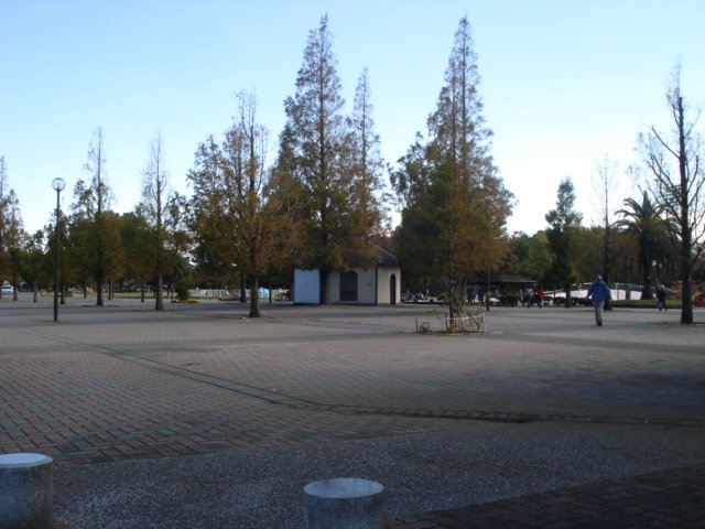 ロビュスト　メゾン 大師公園まで355ｍ