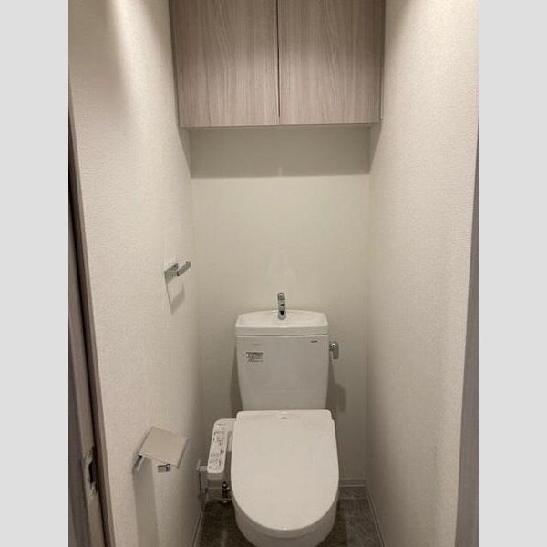 S-RESIDENCE北戸田504号室 トイレ