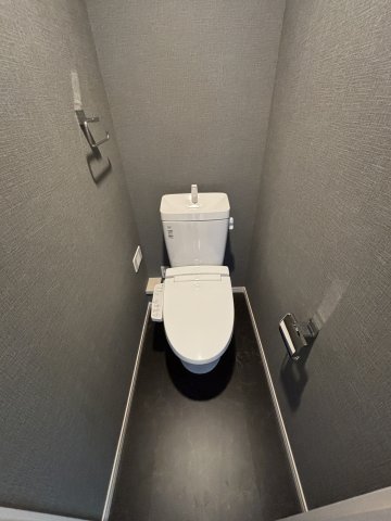 Ｓｏｌｅｉｌ　ＹＳ202号室 シックな落ちついた空間をイメージしたお手洗い