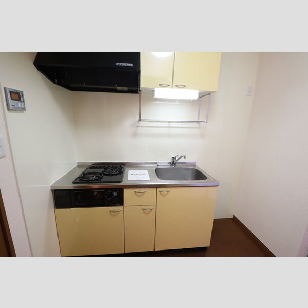 スマートFⅡ システムキッチン