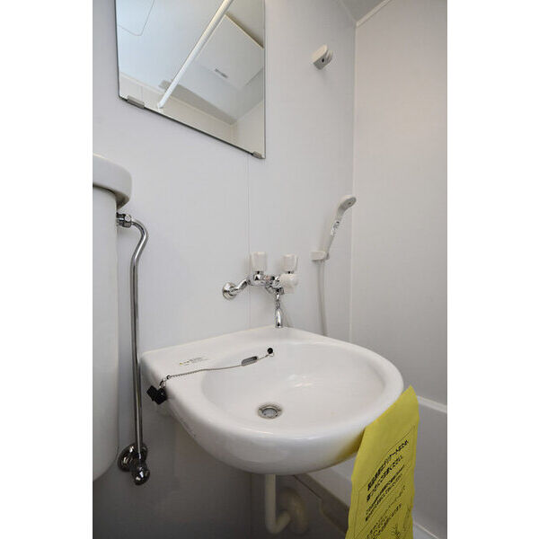 メゾン・ド・プレーヌ0410号室 洗面