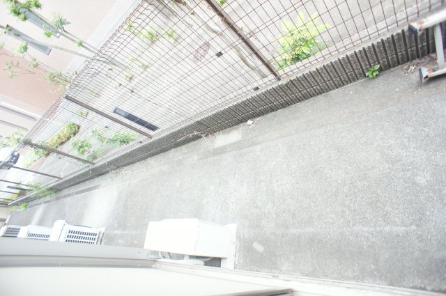 ハイムエヌティー0108号室 バルコニー